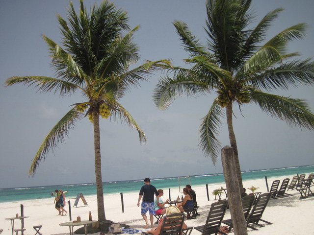 Playa Paraíso - Riviera Maya - Foro Riviera Maya y Caribe Mexicano