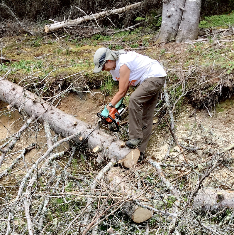 52F8CEDB-D0AB-4804-A272-B32313FBB10E