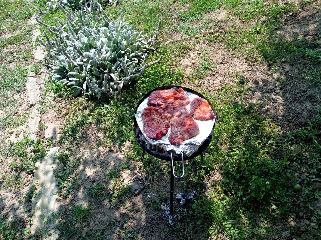 IMG_20200627_140852