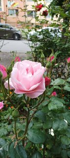 IMG_20230527_082310