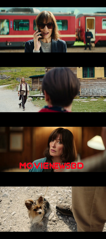 Eat Pray Bark (2026)