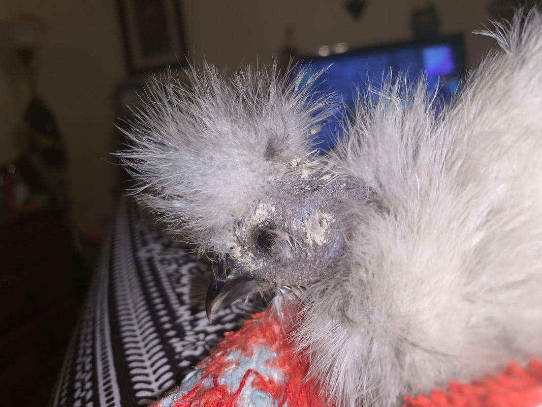 C3CA1C1E-3FC6-4CD0-9DAD-799A9AAFFF7A