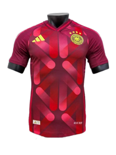 2526 Season Germany Away Jersey Player Version