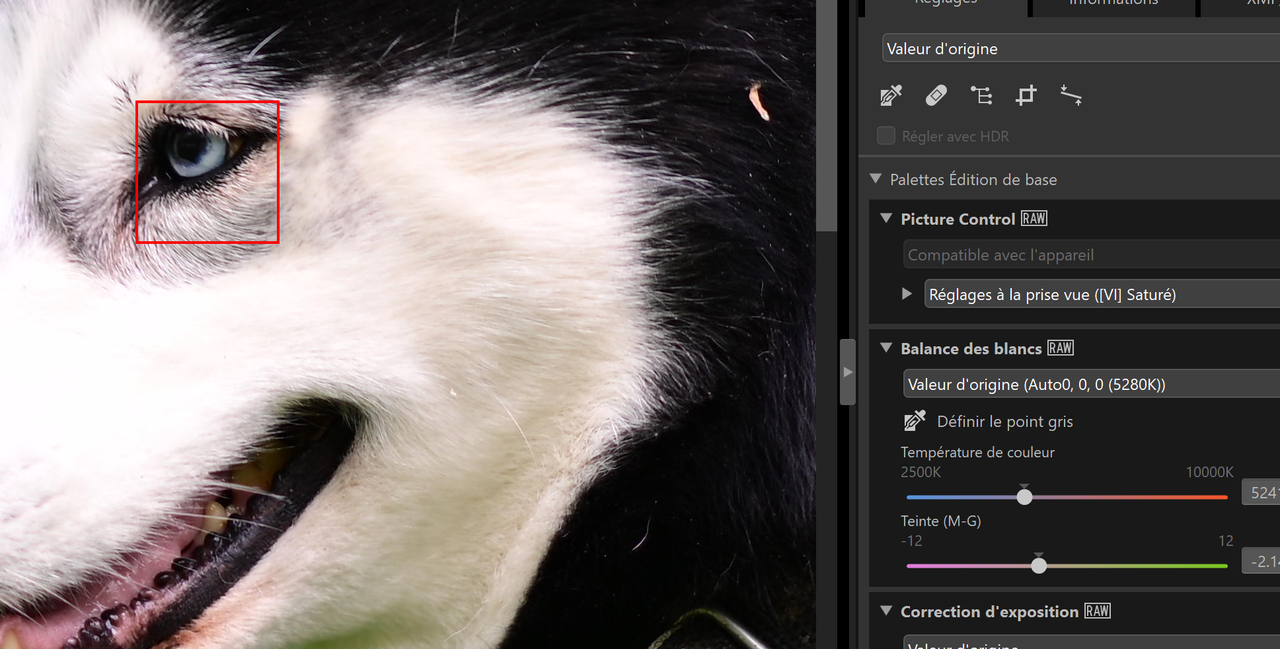 Capture d'écran 2024-05-12 214555