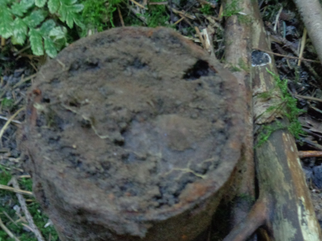 DSC00774