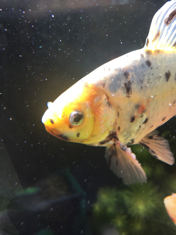 4688EDE9-8DD9-4338-BECC-26BD7E944106