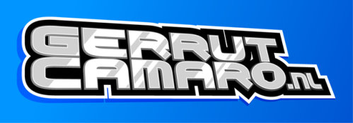 gerrutcamero_nl_beeld