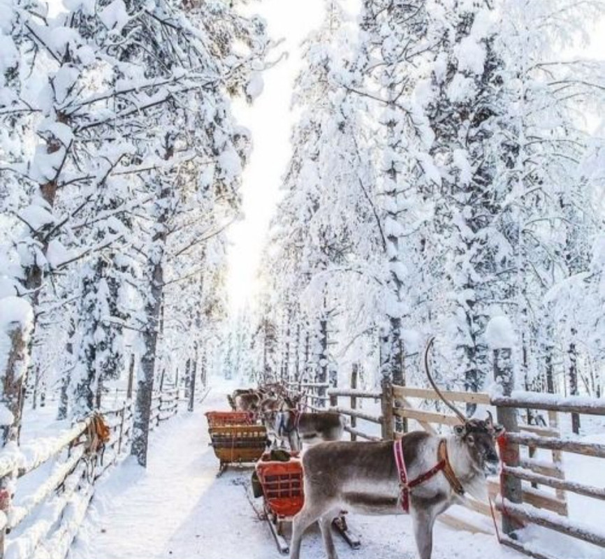 Screenshot_20230212_202446_Chrome