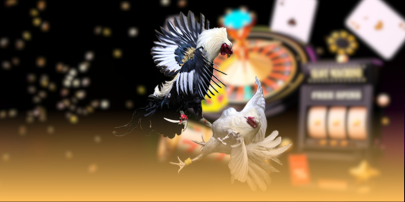 K8Bet Red - Giải Mã Sức Hút Nhà Cái Số 1 Châu Á