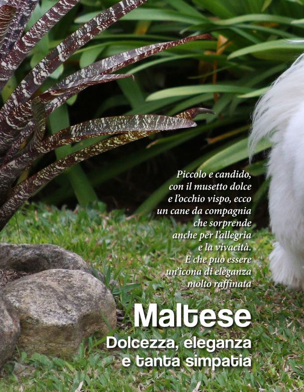 Argos Ago-Set 2022 (3)