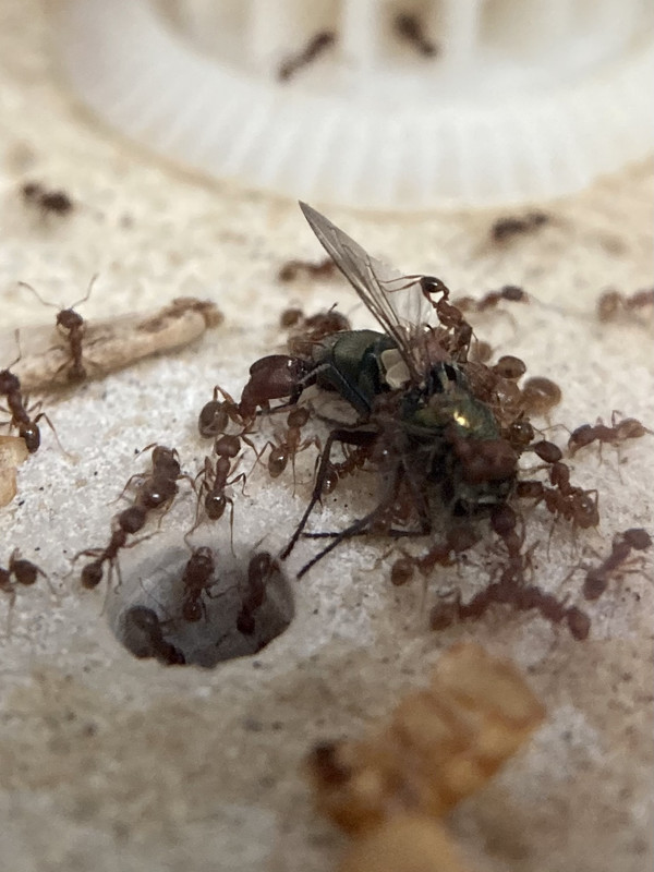 468FB0A8-A344-4475-A4B0-884FD7045B36