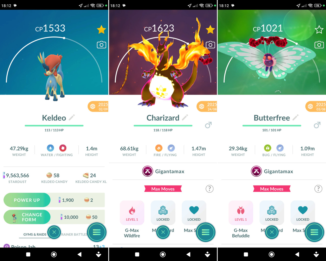 Polish 20260210 182247375