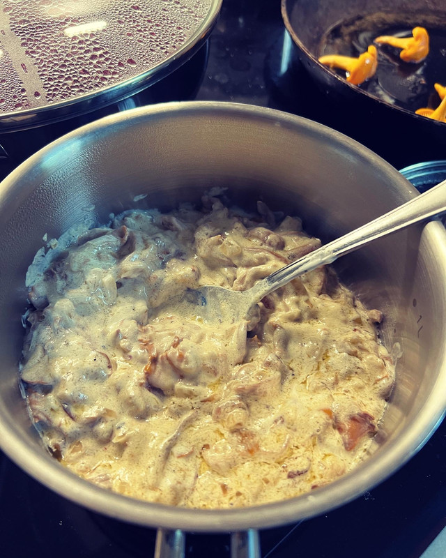 E6389B81-888A-45AB-9876-C87978FF45CC