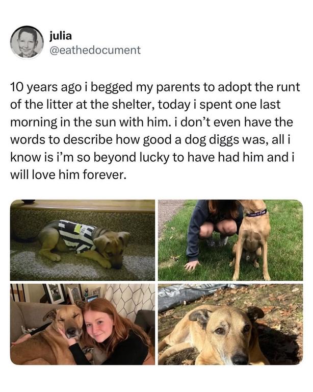 656822620-18428704930190573-6856392334534613593-n