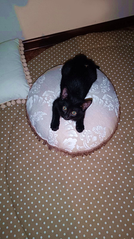 изображение_viber_2024-07-25_22-23-03-480