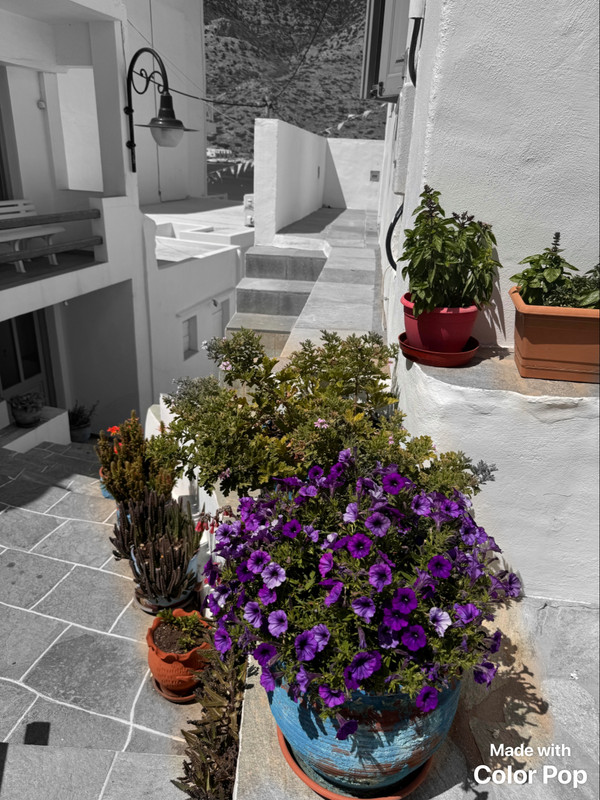 https://i.postimg.cc/0Nc672fP/Color-Pop1781273818795.jpg
