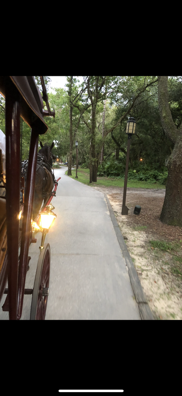 71221114-7D66-4F9B-AAB6-34BEA4B9806E