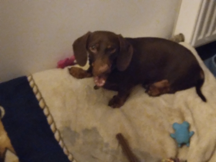 [Image: Resized-1000000607.jpg]