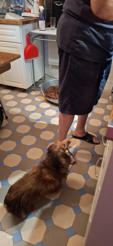 [Image: 20250719-193649.jpg]