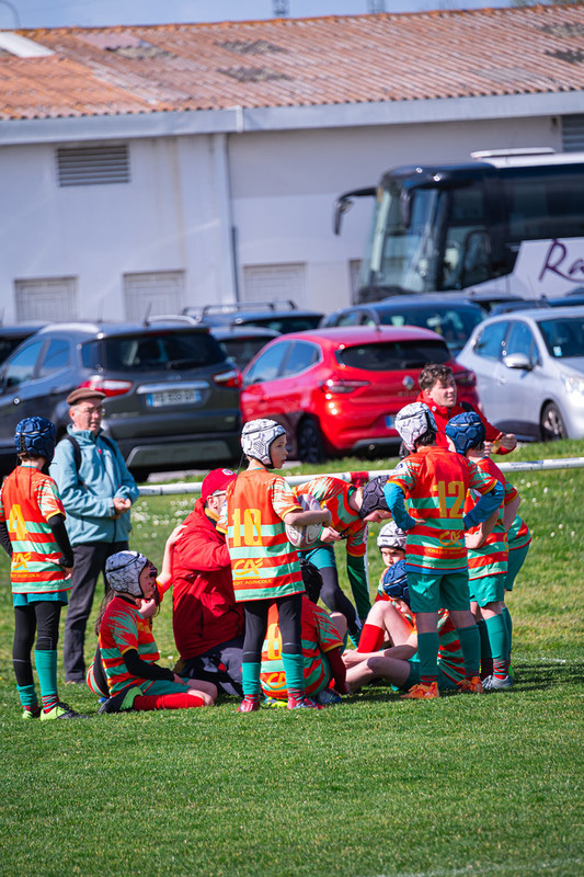 tournoi-de-latlantique-2026-adonis-griffon-141-55181691945-l