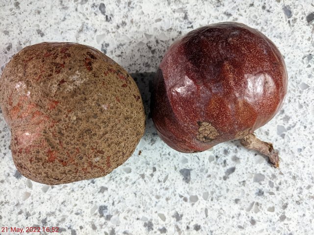 [Image: PXL-20220521-205208563.jpg]