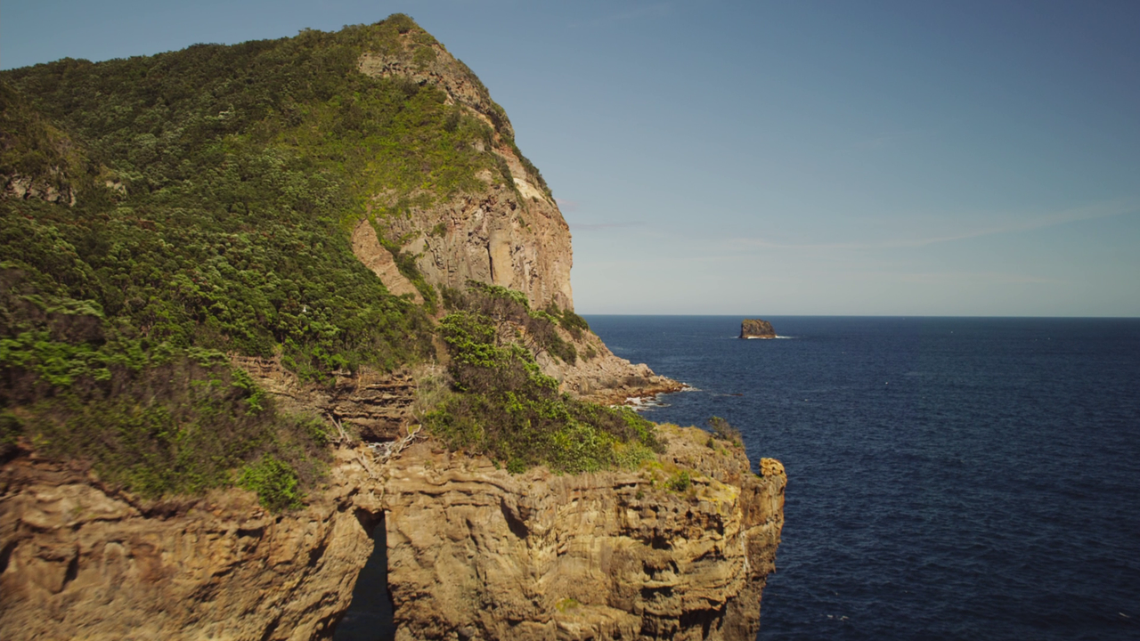 vlcsnap-2023-02-11-16h44m02s376