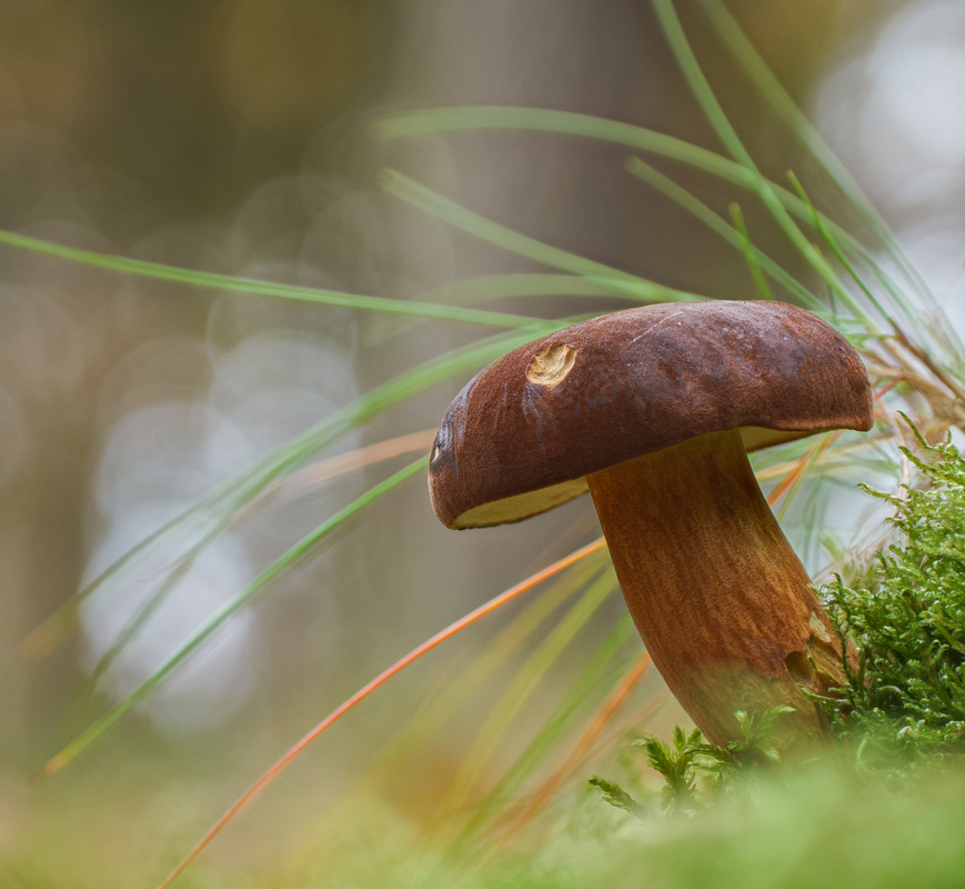 2024-11-06 08-33-31 (B,R8,S4)-Editx