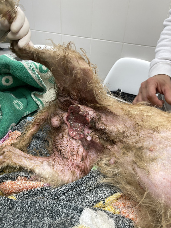 A2177052-9CF8-42F8-BA30-6BD085561F59