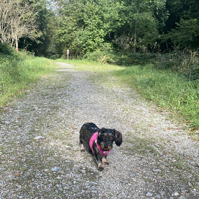 [Image: IMG-7724.jpg]