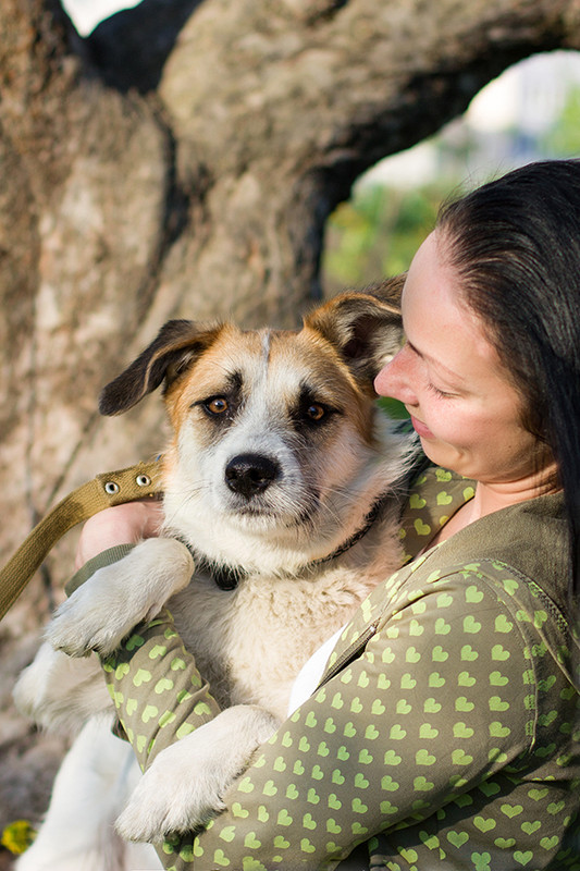 Без имени-16