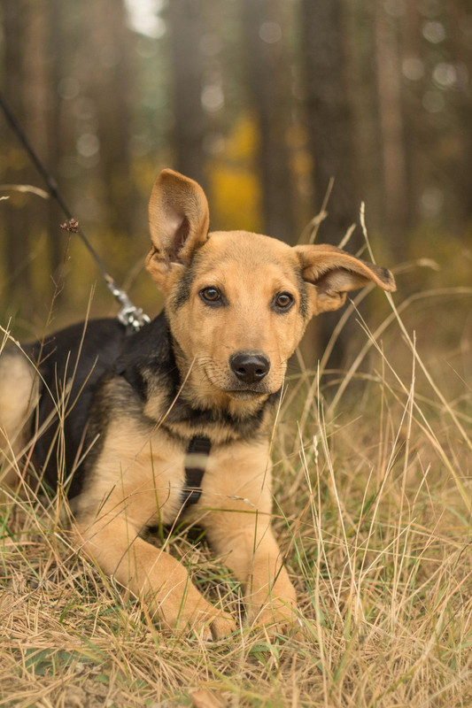 изображение_viber_2022-01-10_11-25-28-853