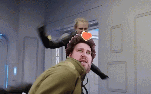 In-die-Fresse.gif