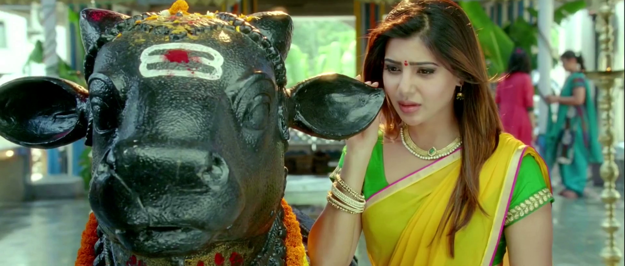 vlcsnap-2025-05-23-17h28m25s194