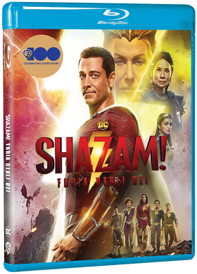 Shazam! Furia degli Dei (2023) FULL BluRay AVC 1080p TrueHD ENG DTS-HD MA ITA