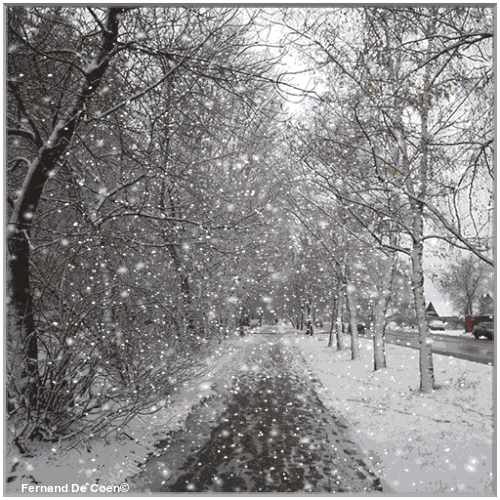 image-860301161903418645133