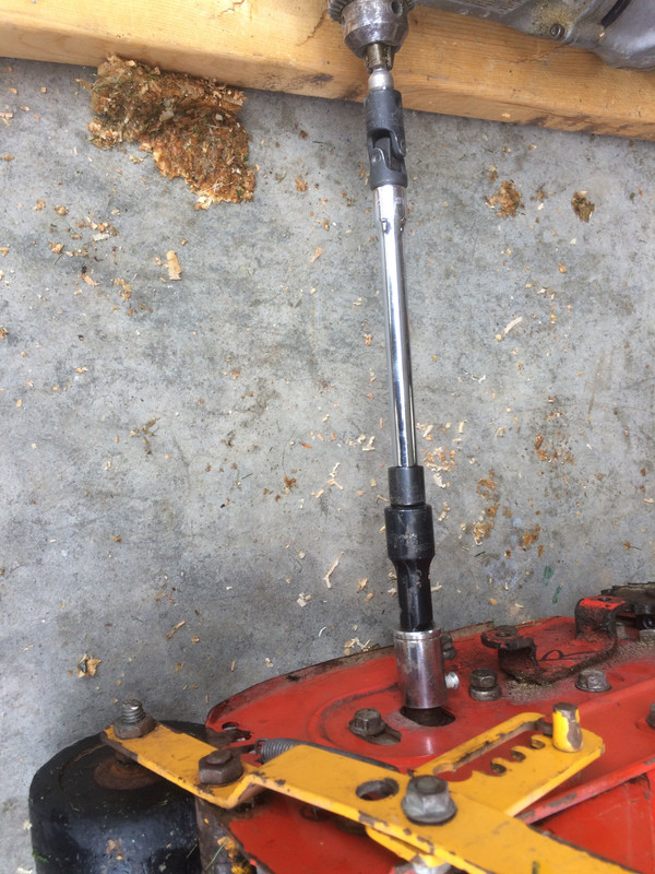 325E2786-7E82-4EE0-9662-8A462B3D936E