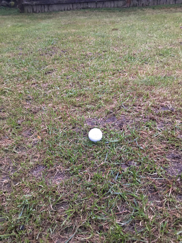 F19A1ACB-1E14-4136-A7B1-F2F16ABE69EF