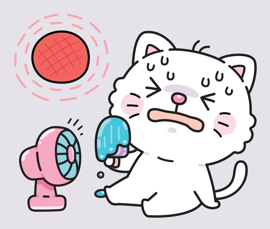 cute-cat-eating-ice-cream-bar-in-hot-wea