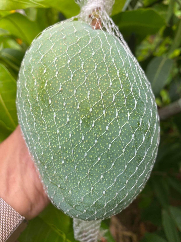 F4123A1D-364E-48F8-B8F8-9579DFB51E7F