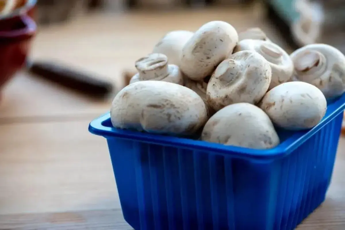 Fresh mushrooms in a blue bowl