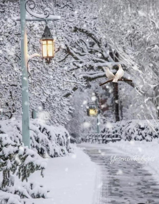 Screenshot_20231121_225224_Pinterest