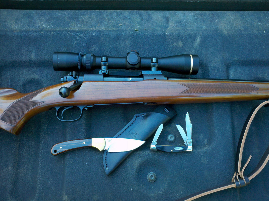 Winchester-M70-FW-Buck-113-303-on-10-13-12.jpg