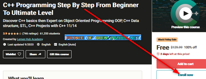 2020-11-24-13h11-22.png