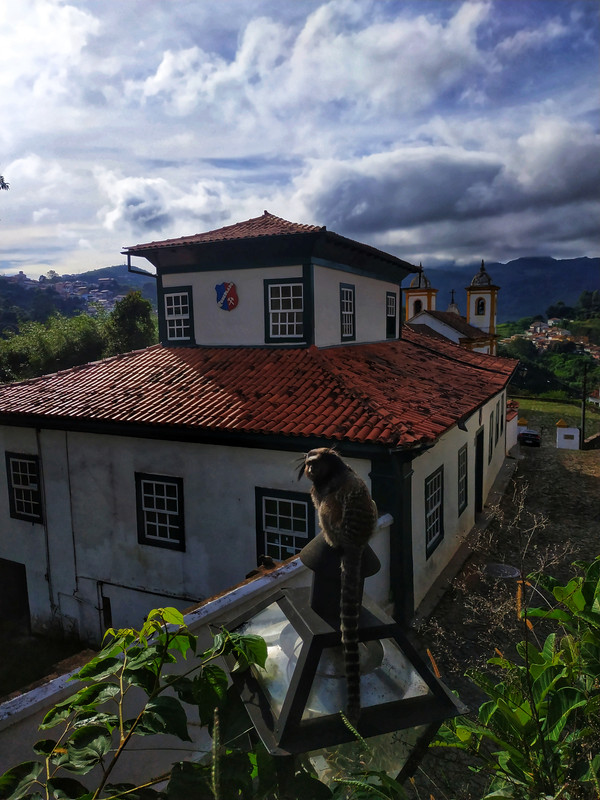 IMG-20190111-083705-01.jpg