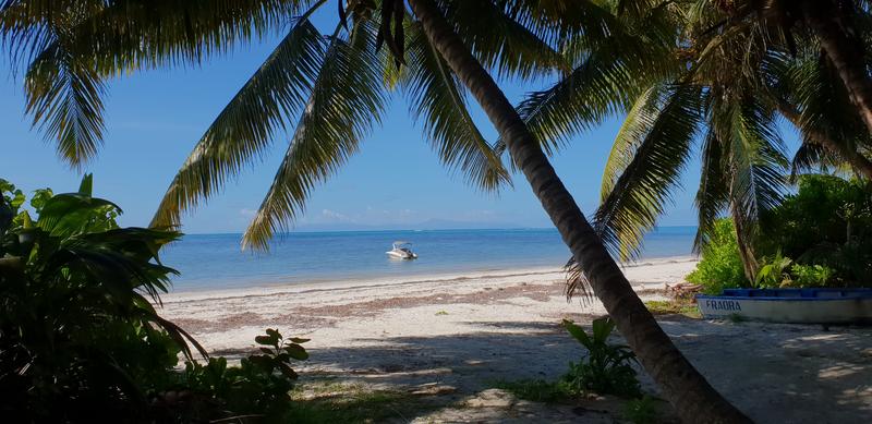 Seychelles-2ª parte de nuestra luna de miel. Se puede pedir más? - Blogs de Seychelles - DÍA 3:  PRASLIN – CURIEUSE ISLAND – SAINT PIERRE (9)