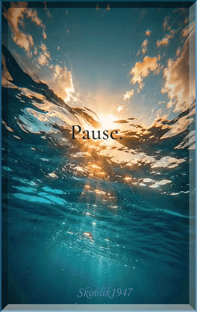 pause-sk