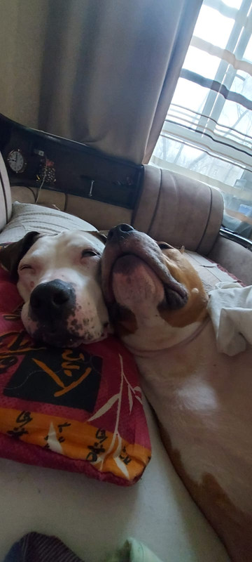 F258AAAC-8A79-41A7-9CD6-0FA90A1C537C