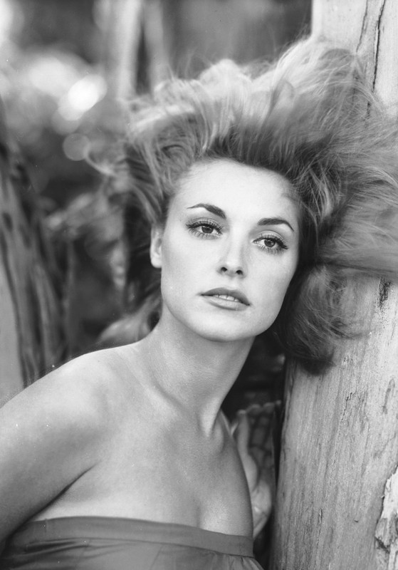 sharon_tate_ma76