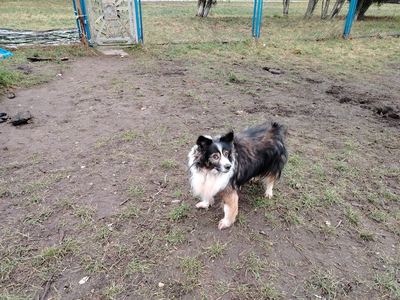 Атос на площадке