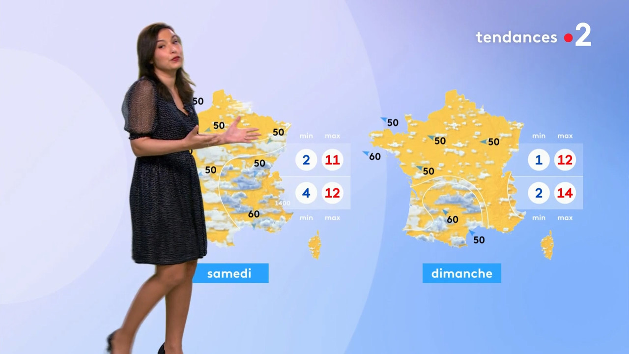 2021-02-25_20_35_Fr2_Meteo.mp4_snapshot_10.04.135